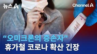 “오미크론의 증손자” 휴가철 코로나 확산 긴장 | 뉴스A