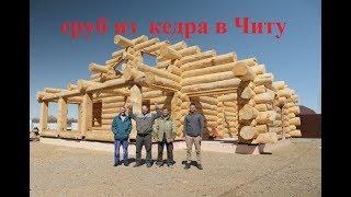 Сборка сруба из кедра в Читу