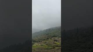 Farming in the Mountains - A Beautiful Struggle