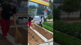 小院不仅是一个美食库，还是我疲惫时的心灵港湾#种菜 #田园生活