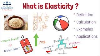 What is Elasticity? | Principles of Economics | From A Business Professor