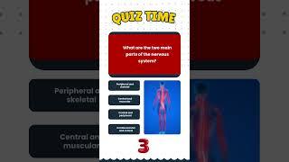  Nervous System Quiz! Can You Get Them All Right?  #Shorts