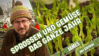 Keimlinge, Vorkultur und Direktsaat | James der Gärtner