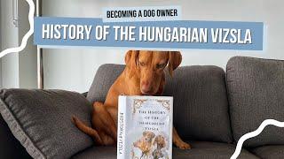 The Fascinating History of the Hungarian Vizsla | Magyar Vizsla Origins