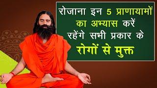 रोजाना इन 5 प्राणायामों का अभ्यास करें रहेंगे सभी प्रकार के रोगों से मुक्त || Swami Ramdev