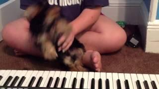 Dog plays muffin man