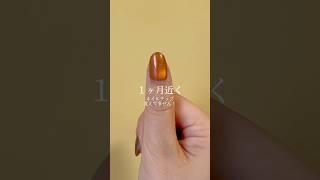 最大3週間付けっぱなしOKの特許出願中ネイルチップ️ #マコモ湯 #マコモ湯構文 #evernail #ジェルネイル #nails #美容 #ネイル #ネイルチップ