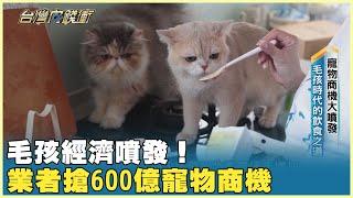 毛孩經濟噴發！ 業者搶600億寵物商機 20241109【台灣向錢衝】PART3