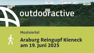 Flyover-Video: Araburg Reingupf Kieneck am 19. Juni 2025