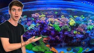 Private Tour of 30,000 GALLON Reef Aquarium SPS Dominant Coral Farm!! - (Top Shelf Aquatics)