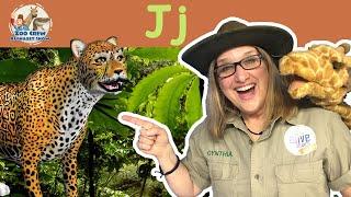 Zoo Crew Alphabet Show | Jaguars and Letter J