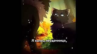 Неудачница|warrior cats edit|Cinderpelt edit| #warriorcats #edit #котывоители #cat #warriors