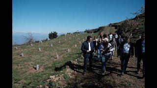 El Cabildo recupera terreno agrícola en Las Llanadas con plantación de 790 árboles y aula formación