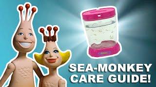 How to Keep Your Sea Monkeys Alive | Top 5 Tips!