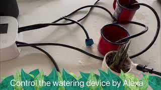 #Alexa#smarthome #watering #wateringsystem #wateringplants try our new smart watering device