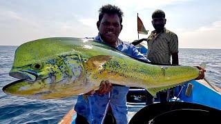 Catching Wahoo Fish & Mahi Mahi Fish in the Deep Sea