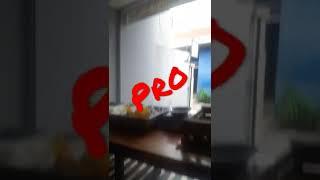 pro VS chiterr