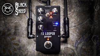 Black Sheep FX Looper