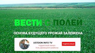 Основа будущего урожая заложена