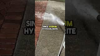 I’ve discovered the BEST chemical for pressure washing #pressurewashingplays