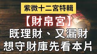 紫微十二宮之【財帛宮】如何看理財漏財，命盤裡有哪些關鍵你得先搞懂！麥可大叔30年紫微斗數算命命理老師
