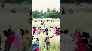 হেমন্তের ছোয়া#love #shorts #reels #nature