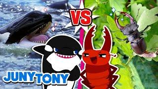 The Match of Strength | Shark, Whale, Stag Beetle +More | Kids Songs | JunyTony