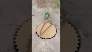 Awesome Bird Trap Technique #youtubeshorts