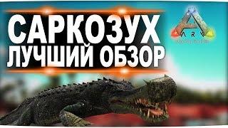 Саркозух (Sarcosuchus) в АРК. Лучший обзор: приручение, разведение и способности  в ark