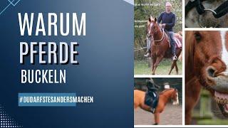 Warum Pferde buckeln, bocken ! Verspanne nie den Popo  entspannt Reiten ohne Rodeo