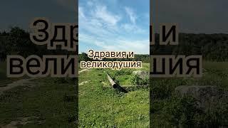 Встань пораньше) #природа #утро#зарядки #настроение #лекарь# Благодар #обучение