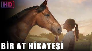 Bir At Hikayesi | Film