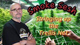 Chilling and Restringing the Trellis Net | Smoke Sesh Vibes #marshydro #fce3000 #ts1000 #vg80