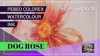 Colorex Watercolour Ink Dog Rose. Watercolour ink painting tutorial.