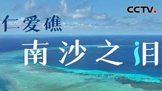 首支仁爱礁生态调查纪实短片《仁爱礁：南沙之泪》发布 | CCTV中文