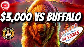 $3,000 vs Buffalo Gold LIVE From Las Vegas