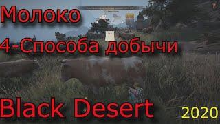 black desert Молоко несколько способов  добыть в bdo