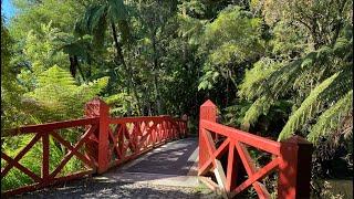 Pukekura Park New Plymouth