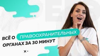 Всё о правоохранительных органах на ЕГЭ за 30 минут