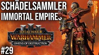 SCHÄDELSAMMLER in Immortal Empires #29 | Let's Play Total War: Warhammer 3 OMENS OF DESTRUCTION