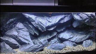 How to create a deep cave Malawi or Tanganyika cichlid setup with one of our "C" models. #aquadecor