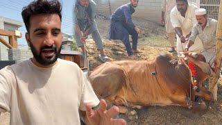 Hamra Sheroo Allah Ki Rah Main Qurban Hogea