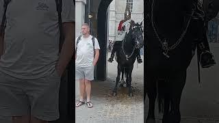 GENTLE TOURIST WAS RELAXED AND CALMED CHILLING WITH THE KING'S GUARD.#mrbeast #viralvideo #jurong