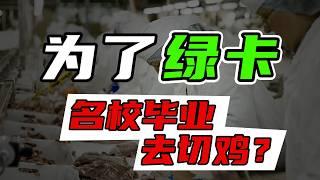 为了绿卡，美国名校毕业生居然去流水线工厂切鸡？