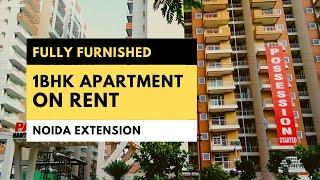 1BHK Apartment for Rent in Noida Extension | Greater Noida West