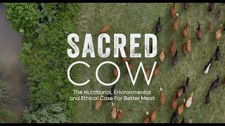 Sacred Cow Film - Official Version