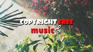 Beautiful Flowers Music Video | Copyright FREE Music | Manong Technik | Sound to Music Compilation