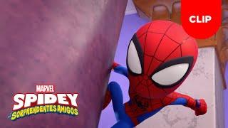 Problema en el campamento | Spidey Y Sus Sorprendentes Amigos | Clip