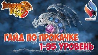 New Dragon Nest • Гайд по прокачке 1-95 уровень • 2019