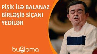 Buğlama TV - Pişik İlə Balanaz Birləşib Siçanı Yedilər